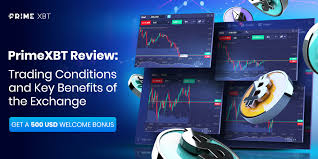Ultimate Guide to Trading PrimeXBT Maximizing Your Crypto Potential